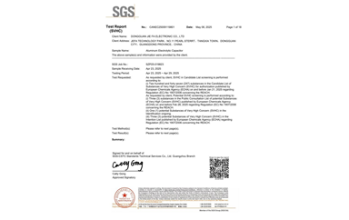 環(huán)保測試報(bào)告 SVHC CANEC25009119801